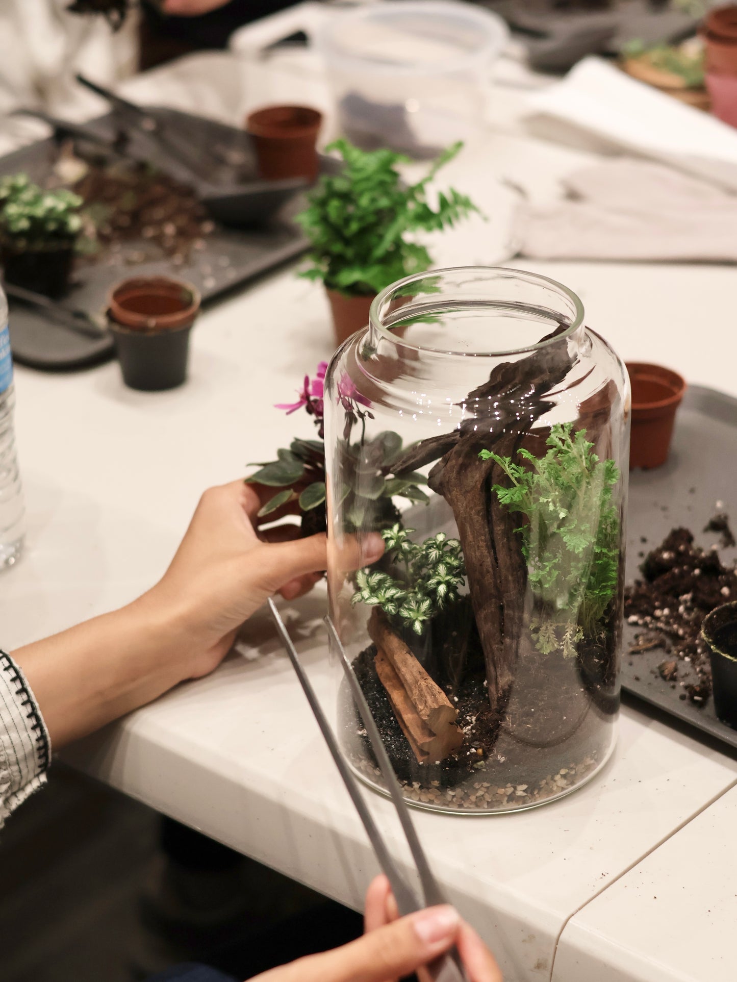 Terrarium Workshops