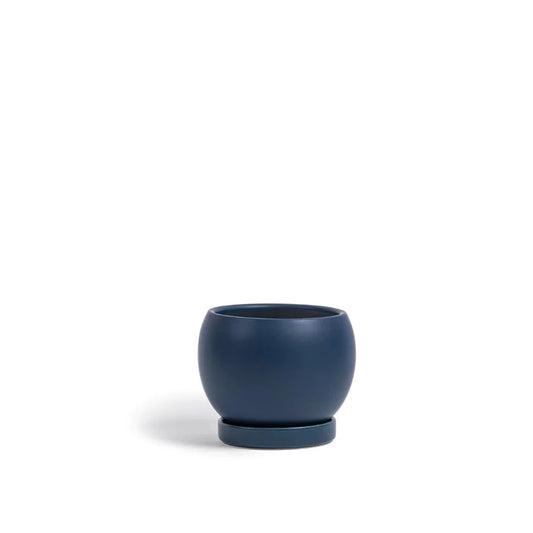 Bolle Pots with Saucers - Middle Blue