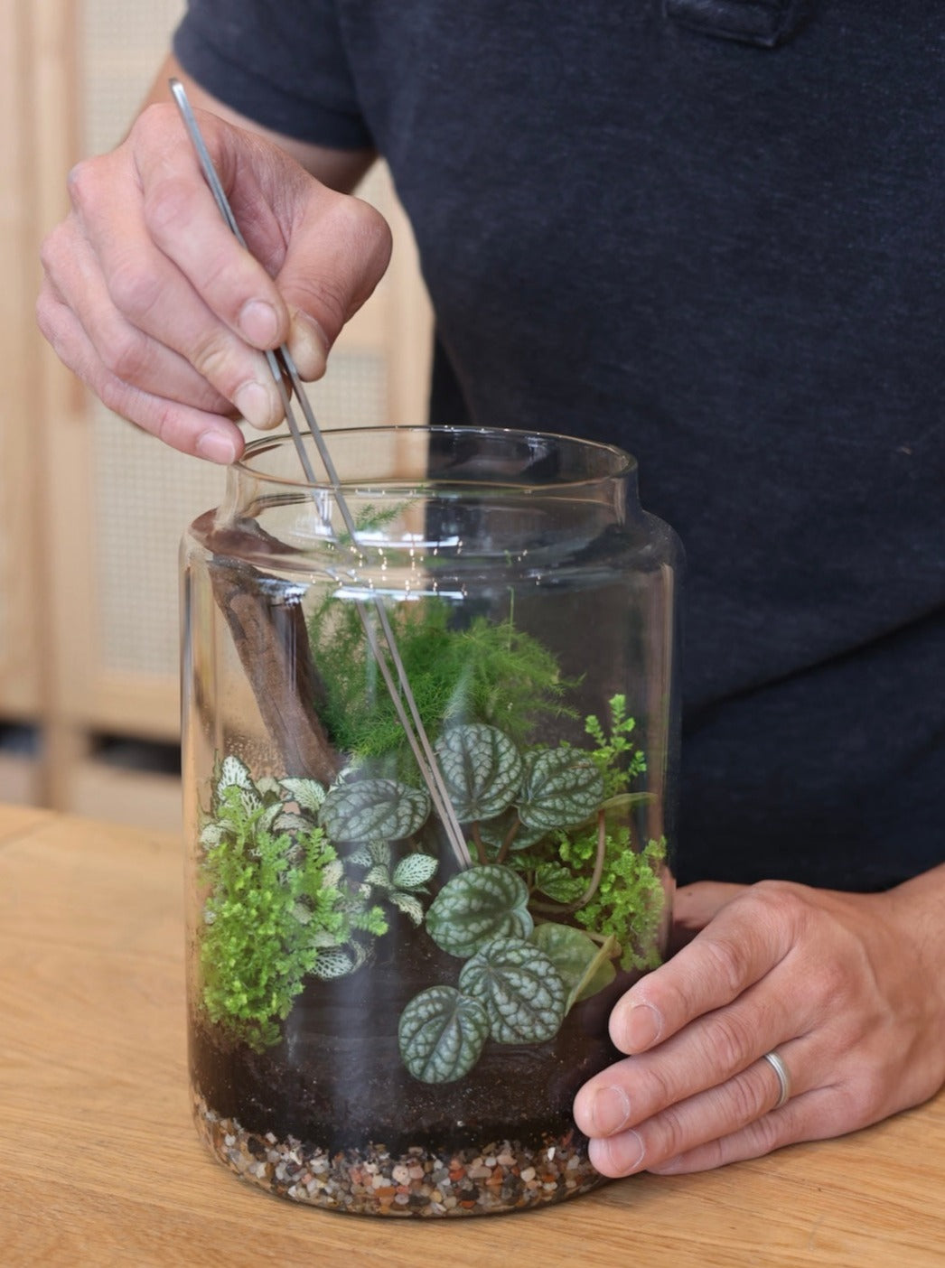 Terrarium Workshops