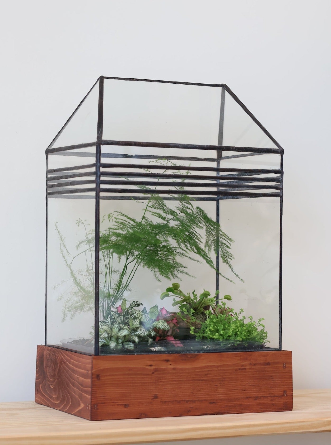 Baret Terrarium