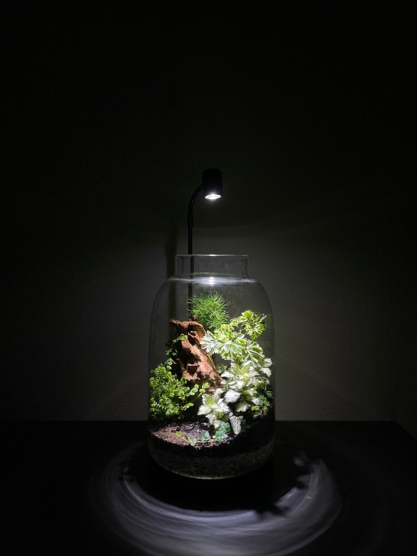 Terrarium Workshops