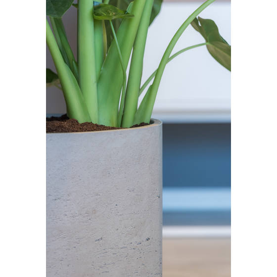 Ficonstone Planter - Charlie, Light Grey