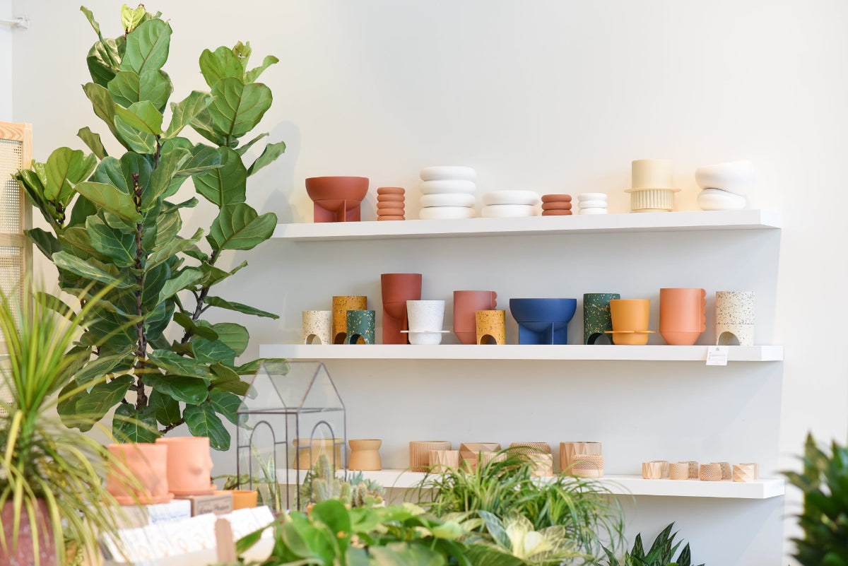 Plant Store Interior, featuring modern planters