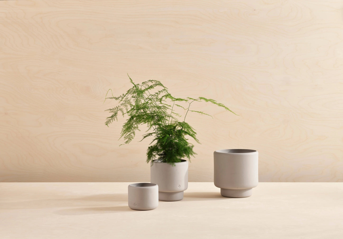 Botany Porcelain Plant Pot - Grey