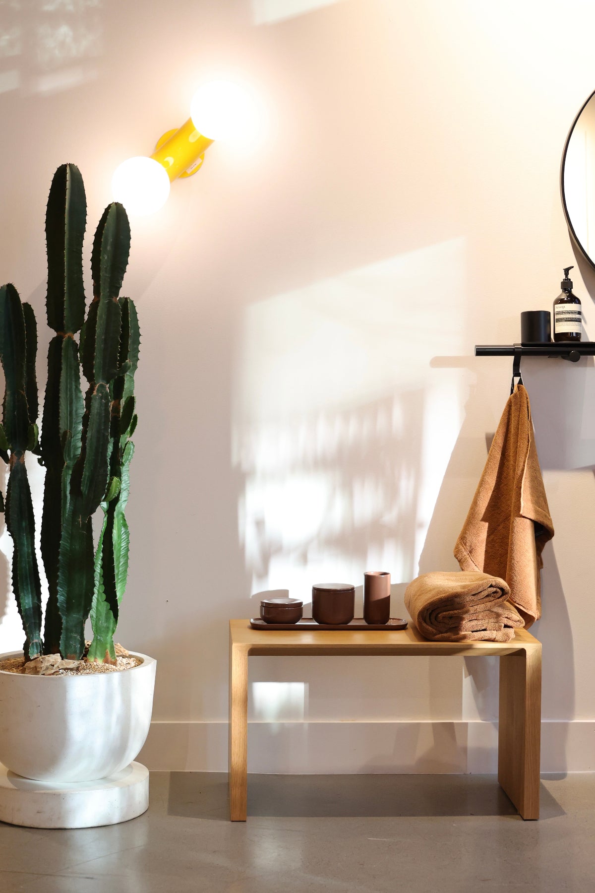 Euphorbia acrurensis