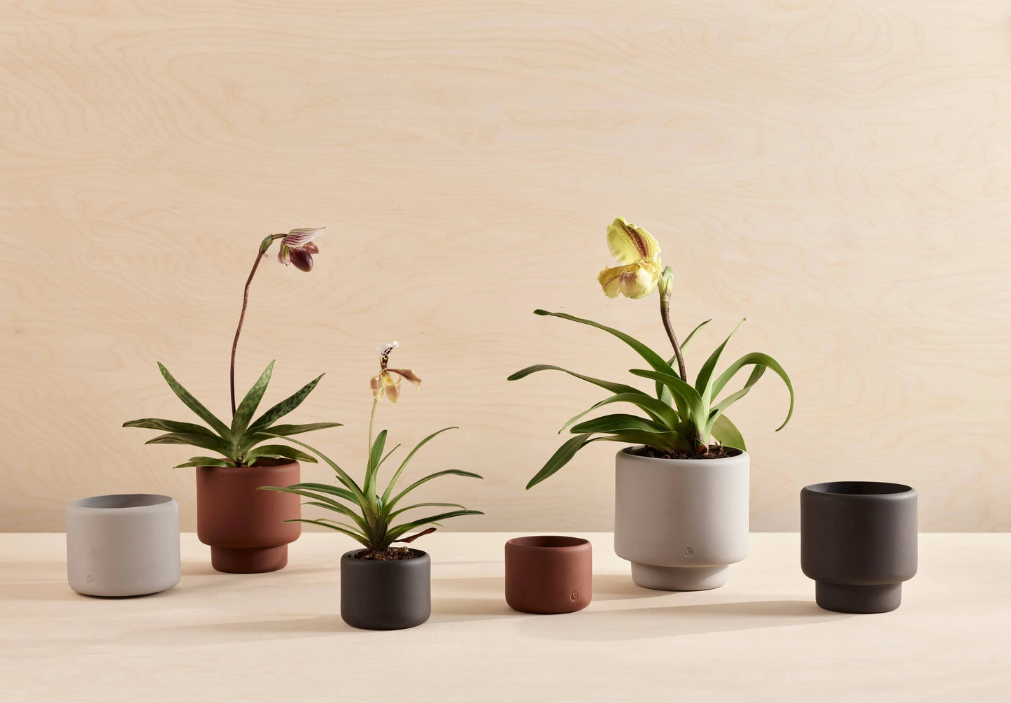 Botany Porcelain Plant Pot - Terracotta