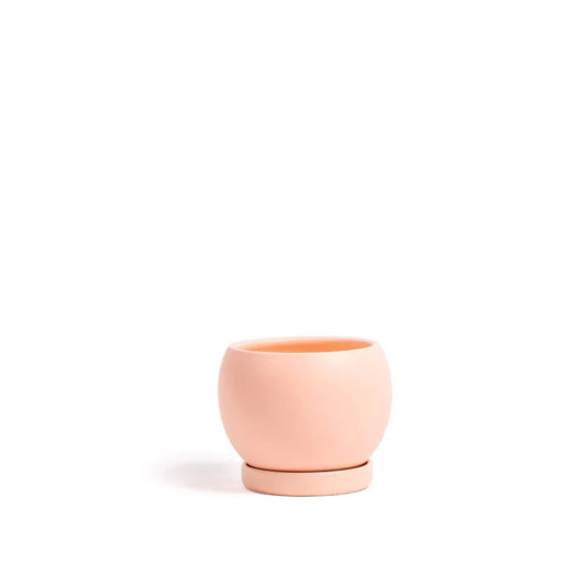 Bolle Pots with Saucers - Blush