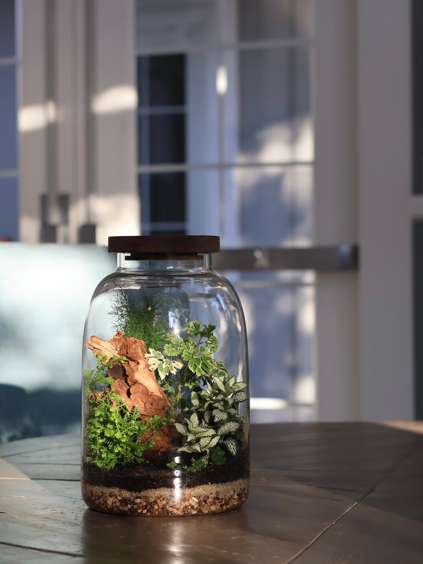 Glass Jar Terrarium with Wooden Lid