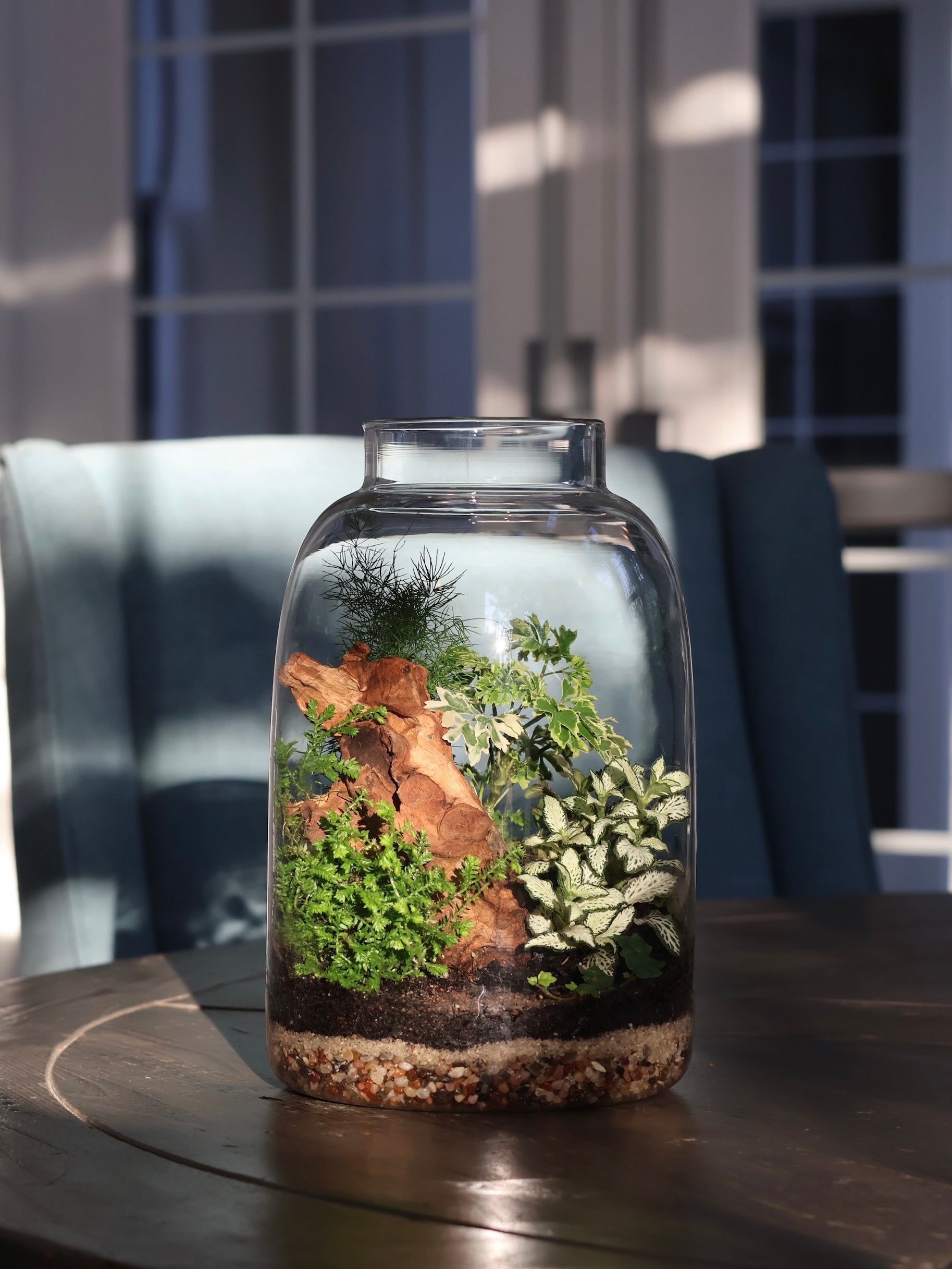 Glass Jar Terrarium