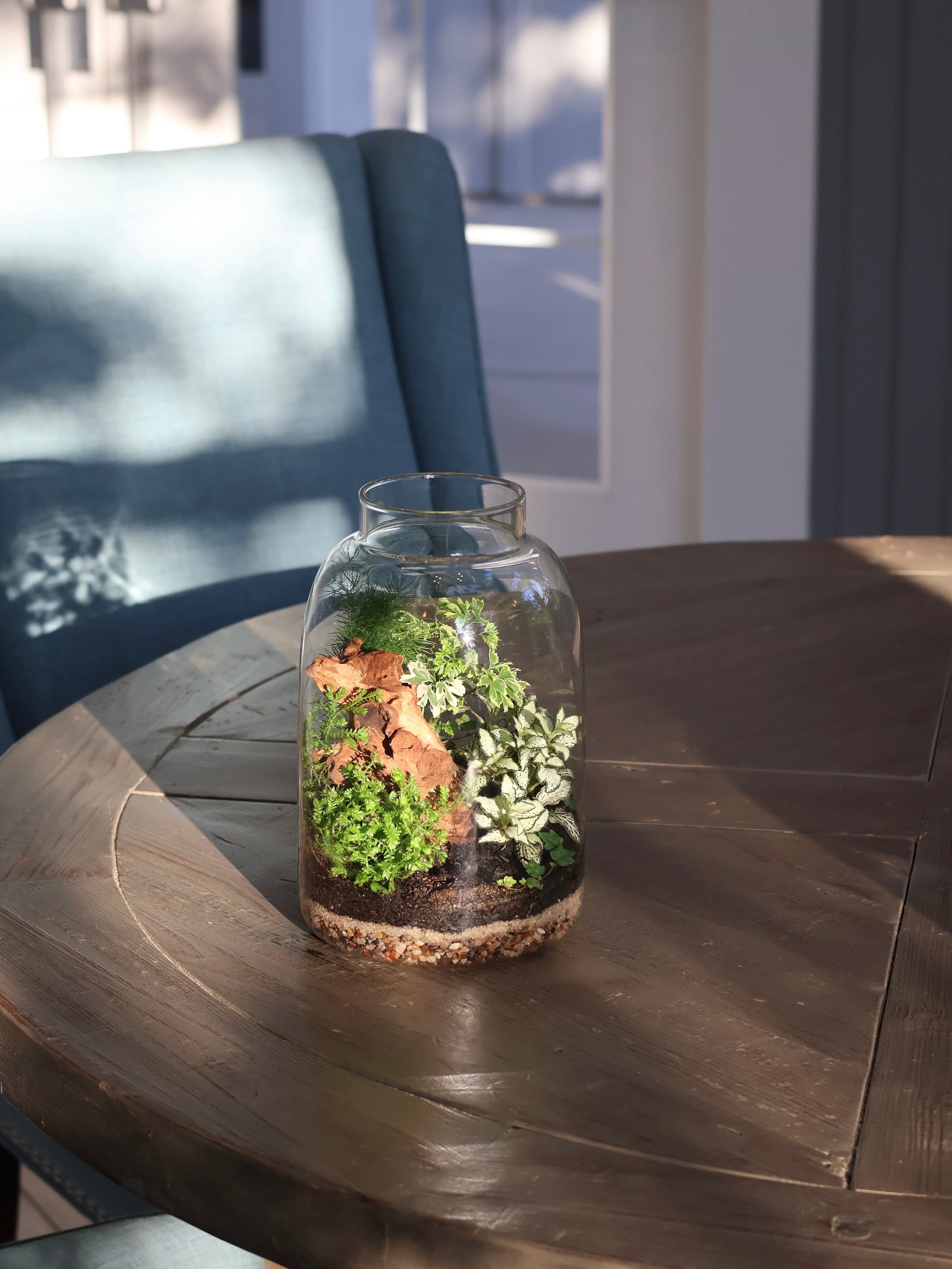 Glass Jar Terrarium