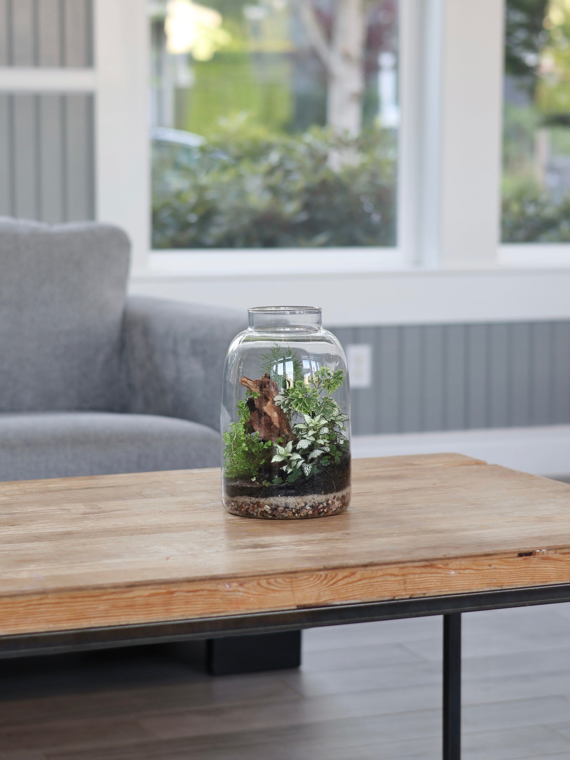 Glass Jar Terrarium