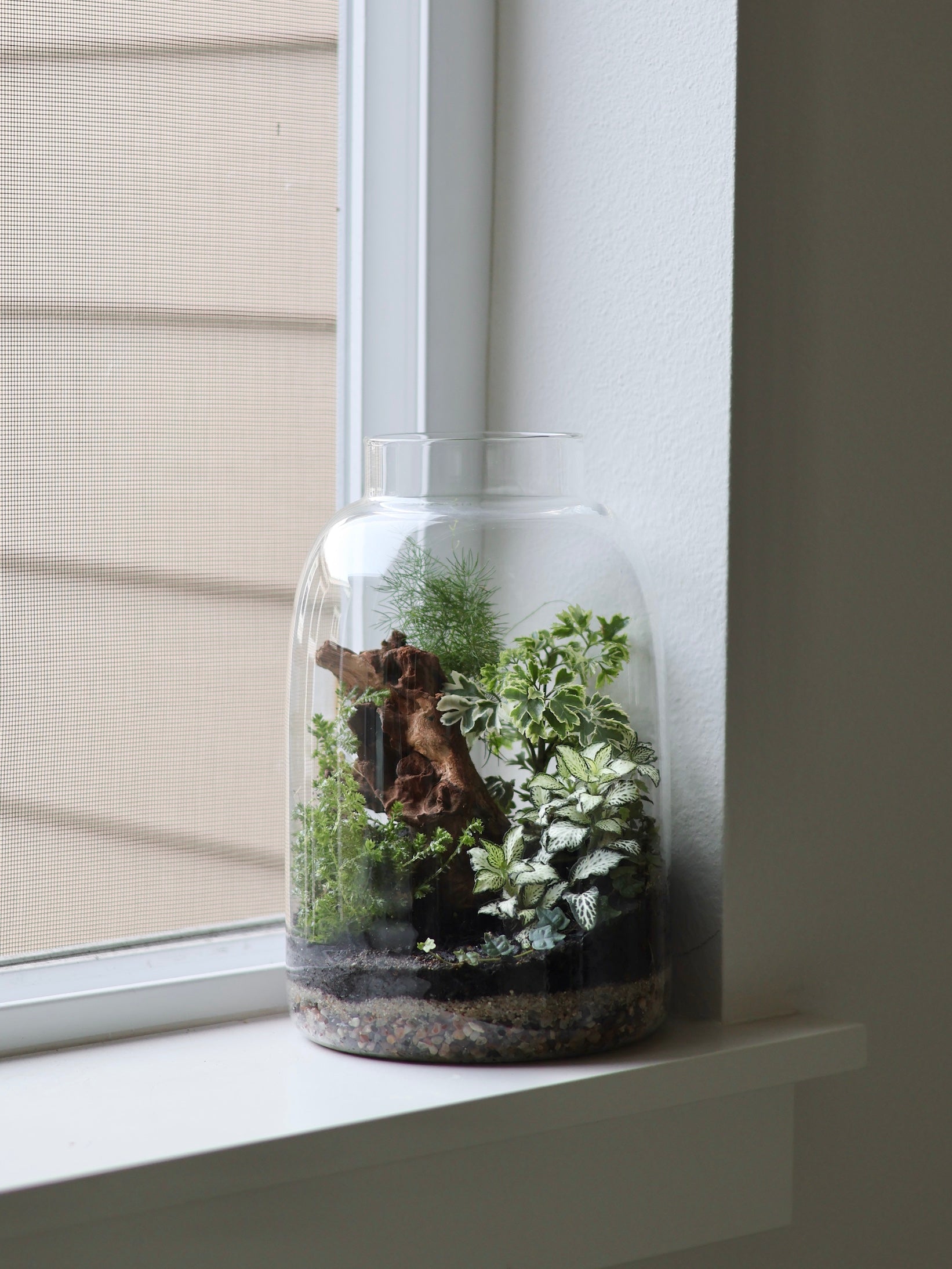 Terrarium Workshops