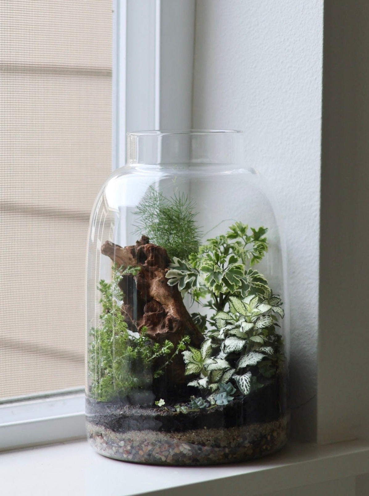 Glass Jar Terrarium