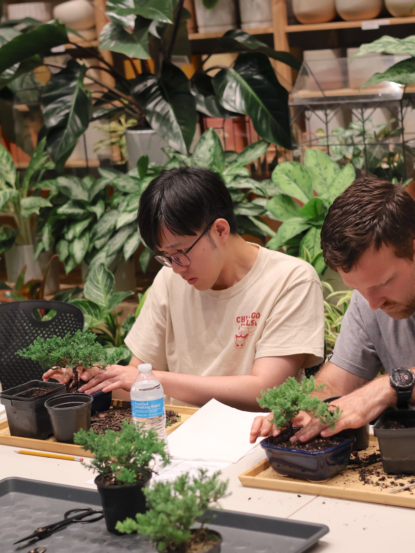 Bonsai Workshop for Beginners by Robert Cho