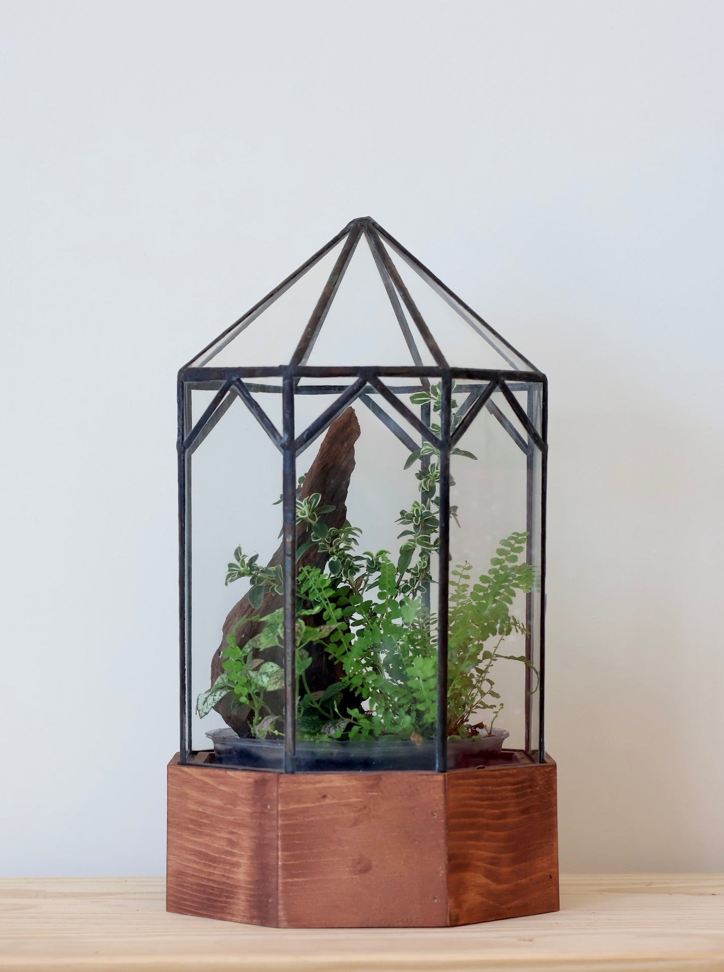 Gazebo Terrarium