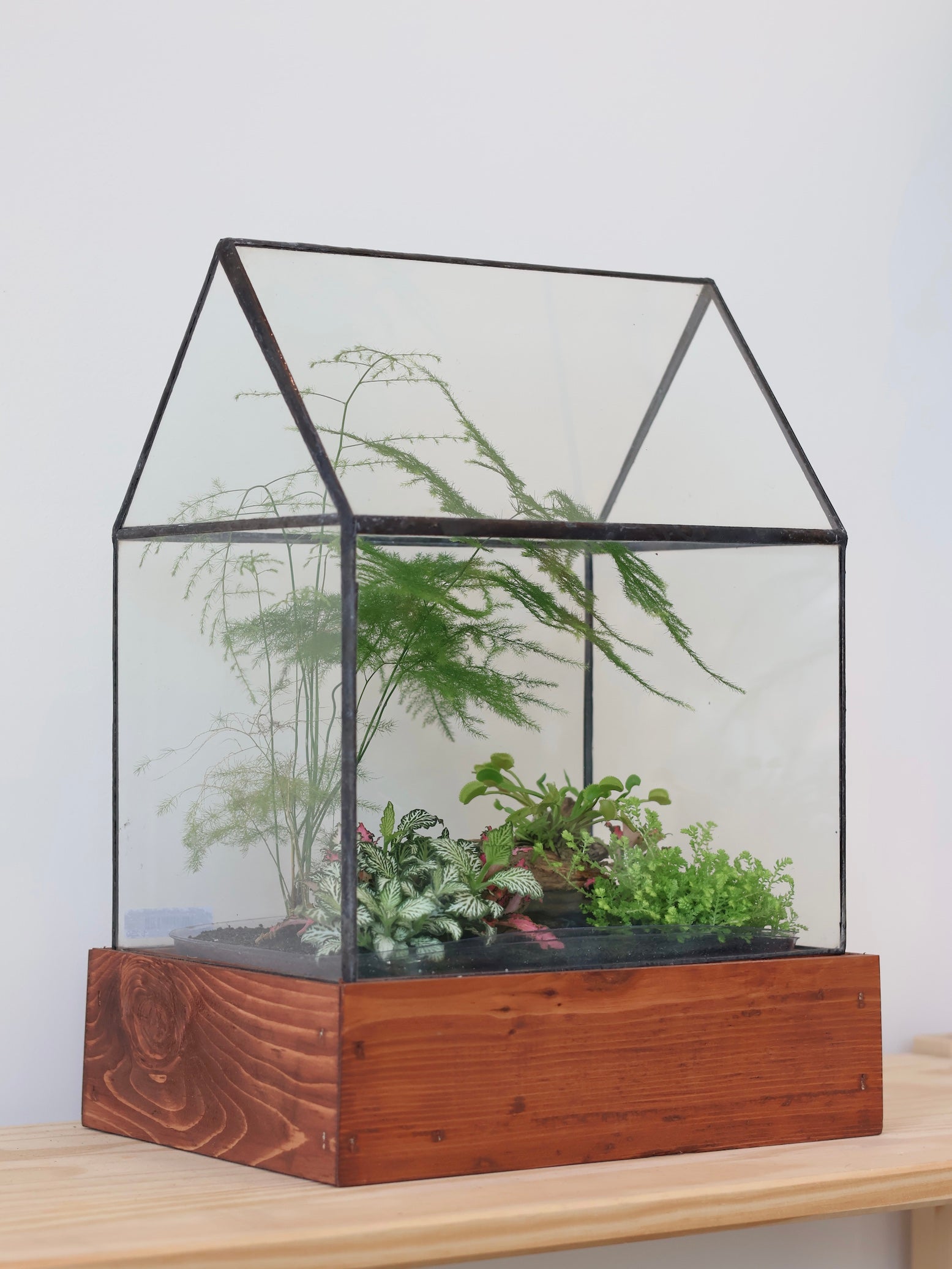 Terrarium Workshops
