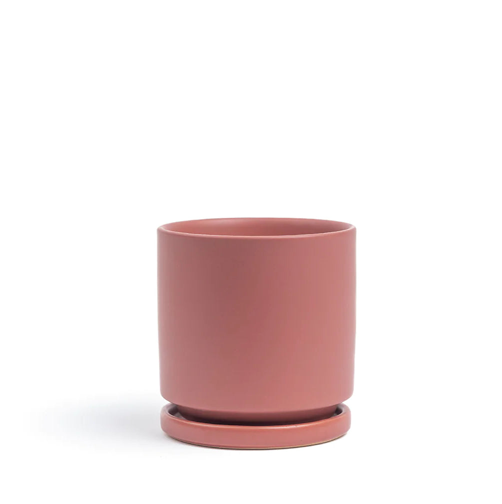 MOMMA POTS Gemstone Cylinder Pots with Saucer - Dusty Rose (Various Sizes)