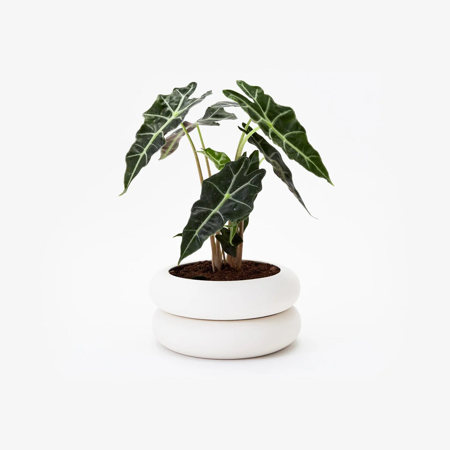 Stacking Planter - 8” Diameter