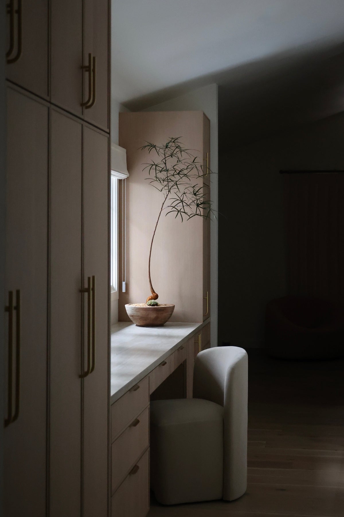 Modern interior with a desk, chair, and Queensland bottle tree in a dimly lit room.