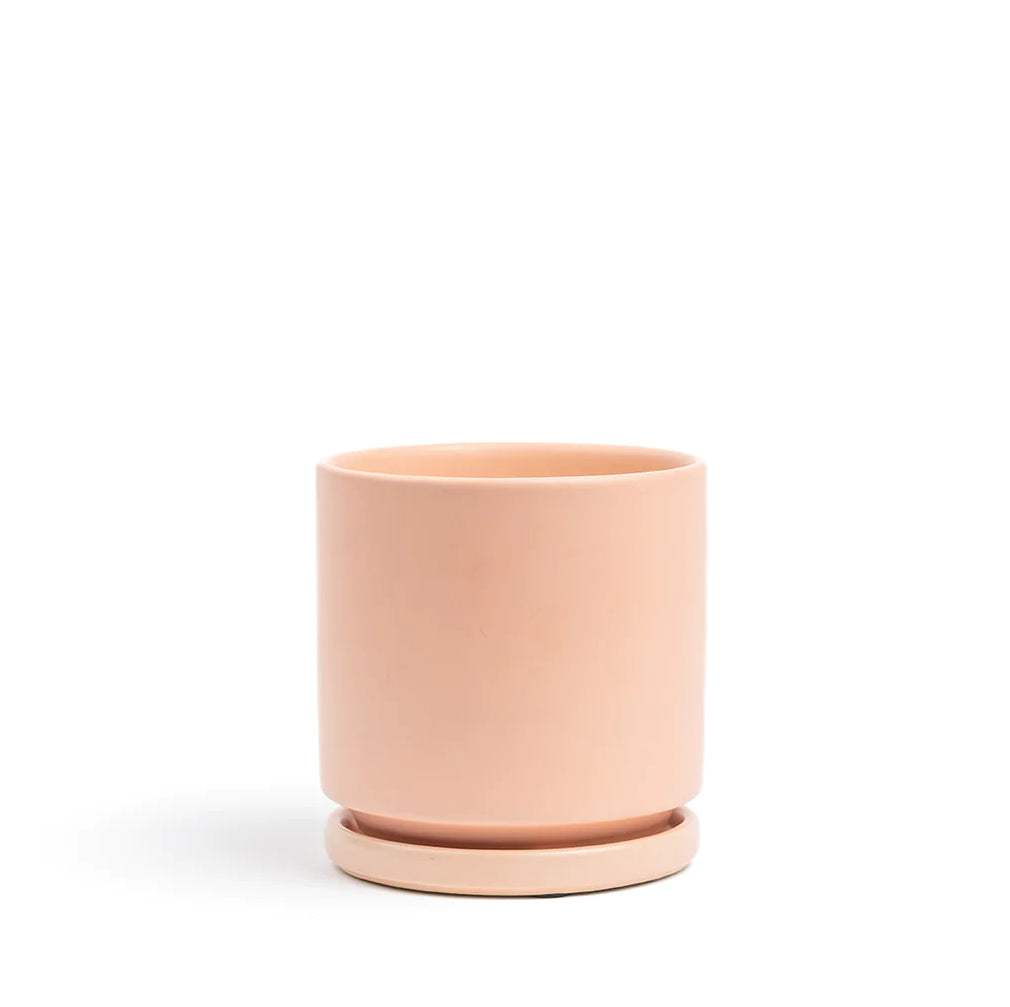 MOMMA POTS Gemstone Cylinder Pots with Saucer - Blush (Various Sizes)