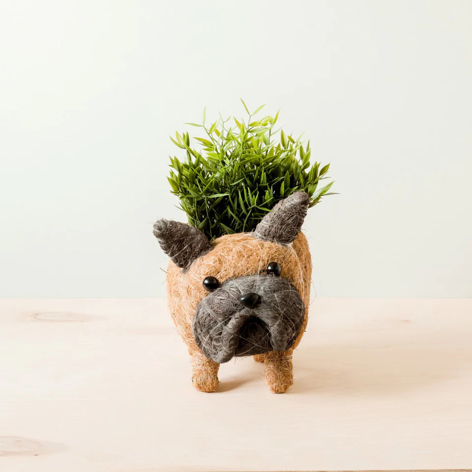 LIKHA - French Bull Dog Coco Coir Planter