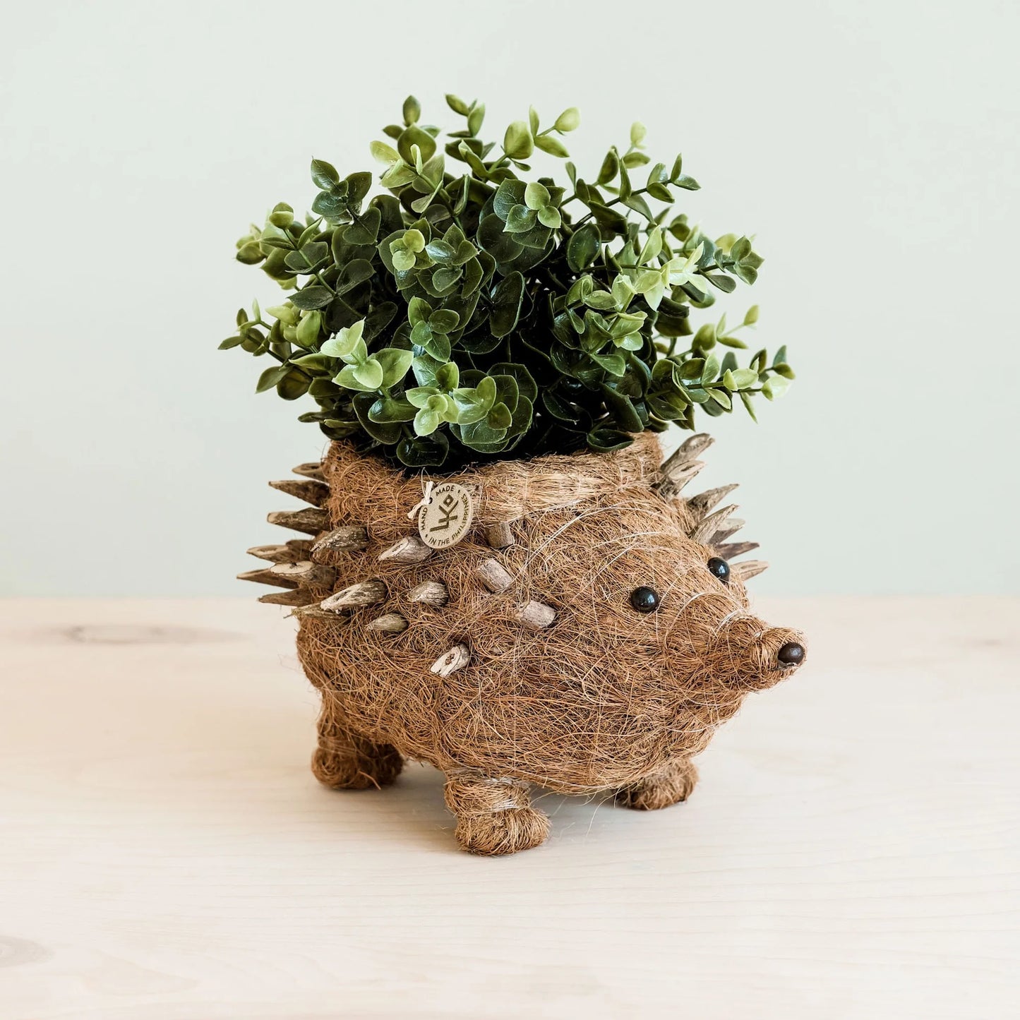 Coco Coir Planter - Hedgehog