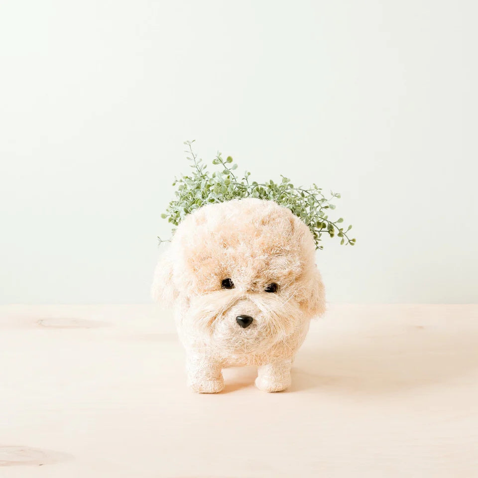 Coco Coir Planter - Poodle